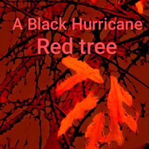 Band A Black Hurricane  aus Lauf an der Pegnitz - Bild 1