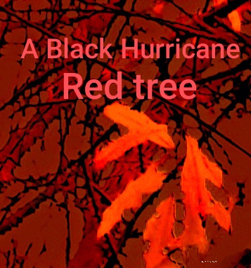Band A Black Hurricane  aus Lauf an der Pegnitz - Bild 1