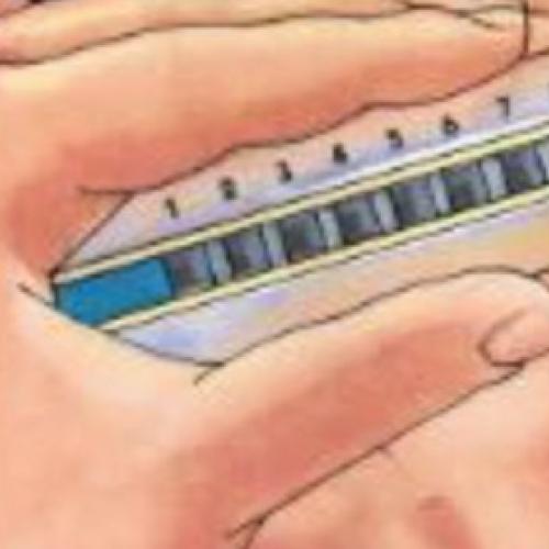 Kleinanzeige Biete Unterricht, Einstieg in den Blues mit der Blues-Harp - Bild 1