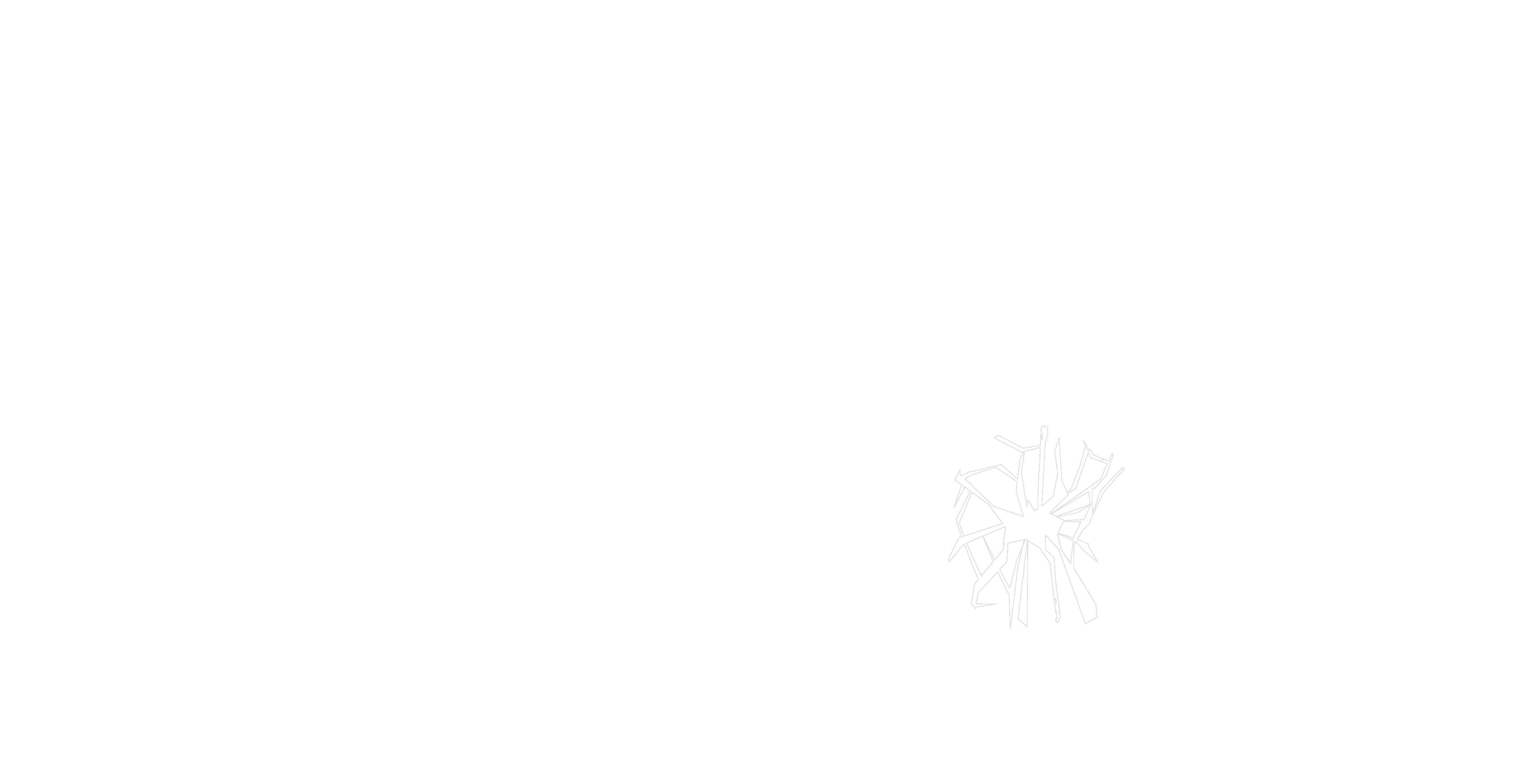 Kleinanzeige Scrying Mirror suchen Leadsängerin für Alternative Metal - Bild 1