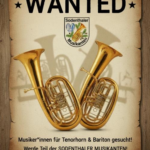 Kleinanzeige Musiker/innen für Tenorhorn und Bariton gesucht - Bild 1