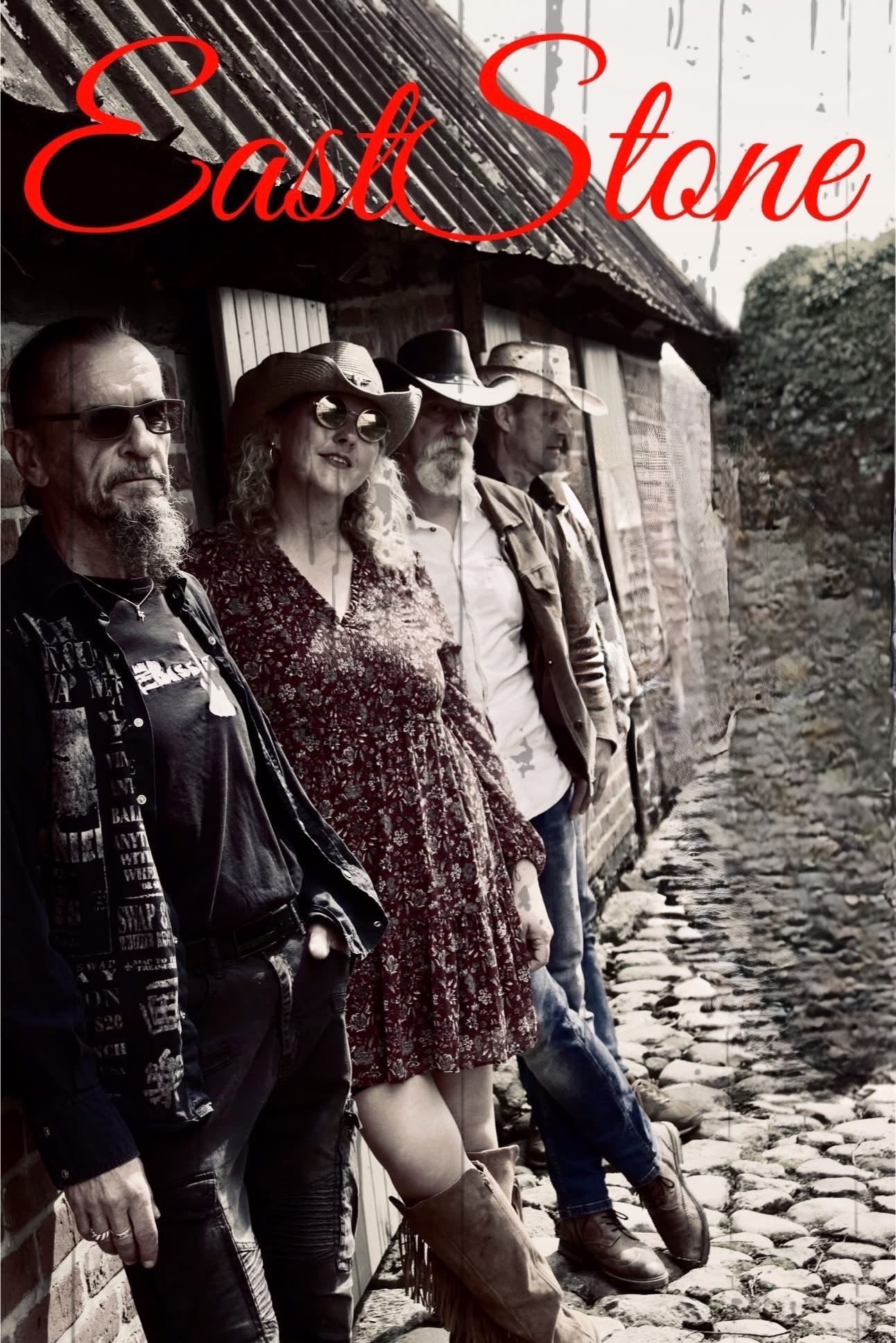Kleinanzeige Country,Americana Band sucht Gitarre  - Bild 1