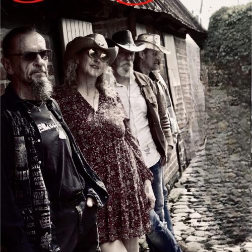 Kleinanzeige Country,Americana Band sucht Gitarre  - Bild 1