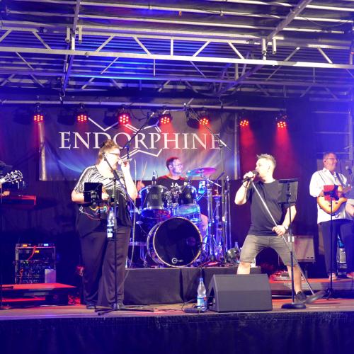 Kleinanzeige SÄNGERIN gesucht: Coverband (Rock + Pop) aus Darmstadt - Bild 4