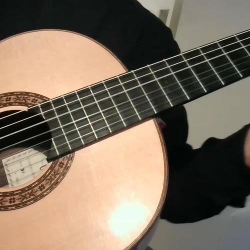 Kleinanzeige Suche Musiker für klassisches oder Folk-Musizieren - Bild 1