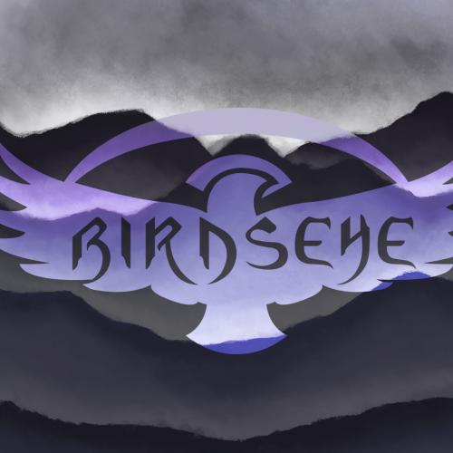 Kleinanzeige birdseye suchen Sängerin und/oder div. Mitmusiker/innen - Bild 1