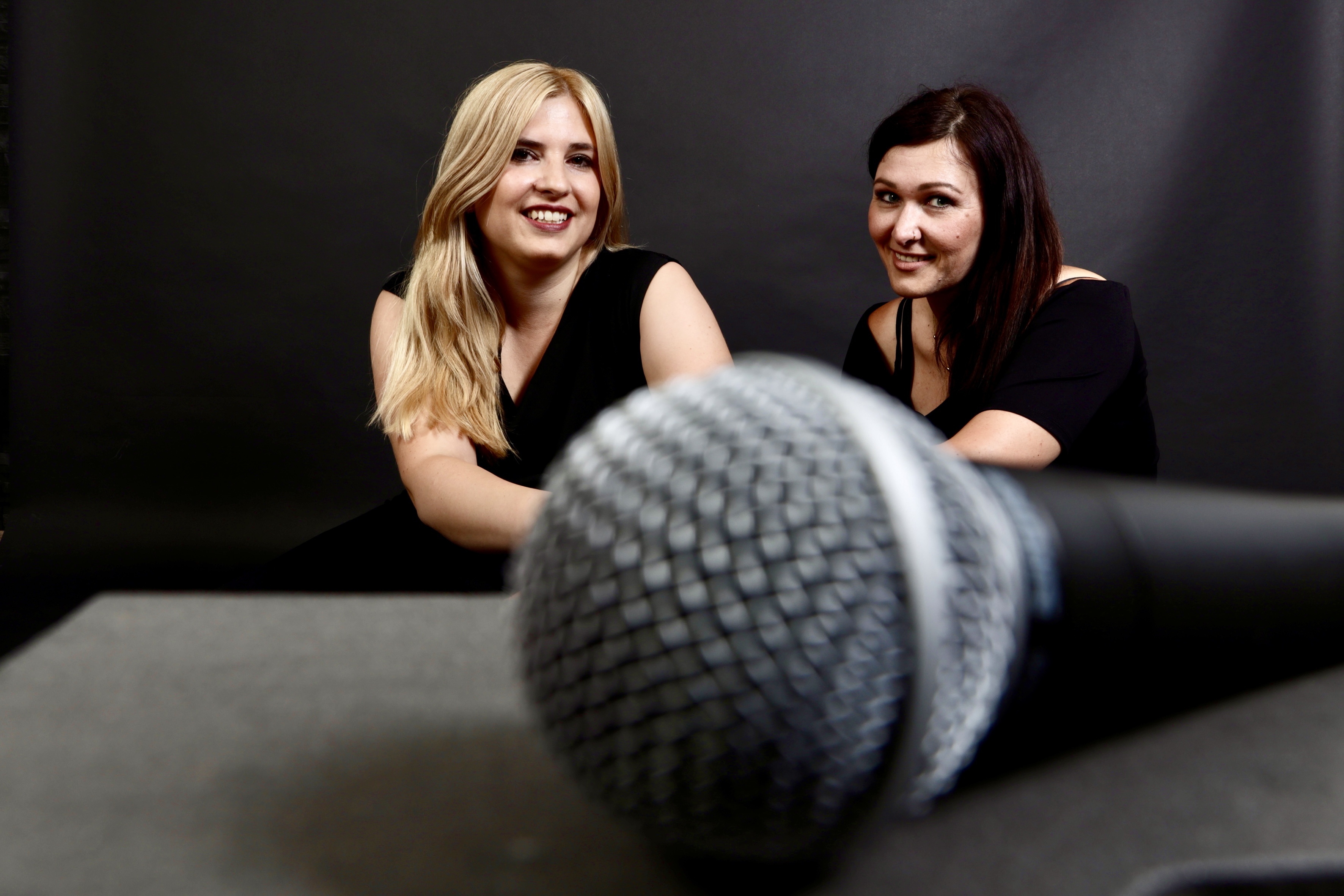Kleinanzeige Rock und Pop Gesangsworkshop - Bild 2