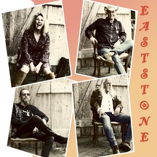 Kleinanzeige Country/Americana Band sucht Leadgitarre - Bild 2