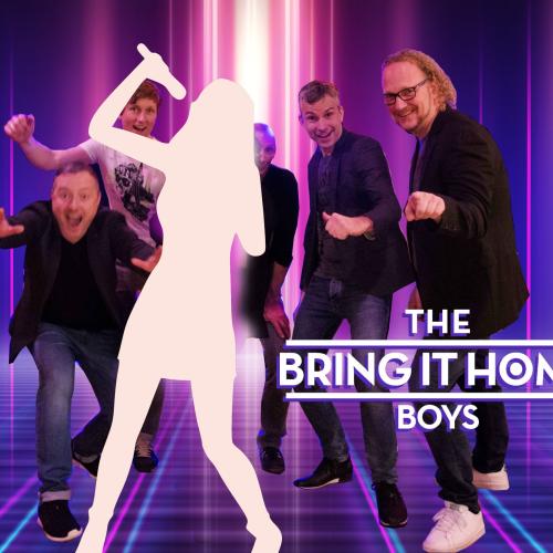 Kleinanzeige Party-Cover-Band sucht Sängerin! The Bring It Home Boys - Bild 1