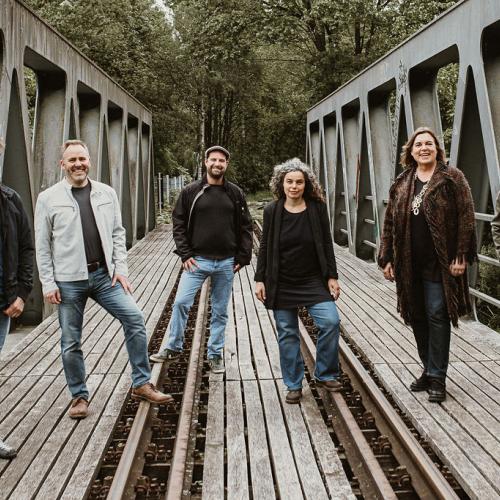 Kleinanzeige Funkband sucht Sängerin - Bild 1