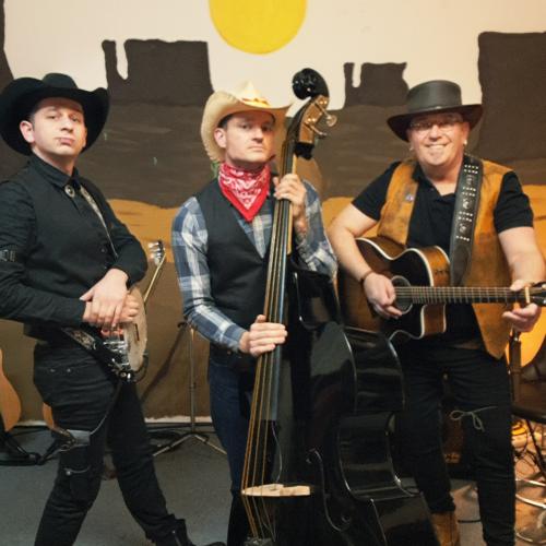 Kleinanzeige Bassist*in, Kontrabassist*in oder Cellist*in gesucht! - Bild 1