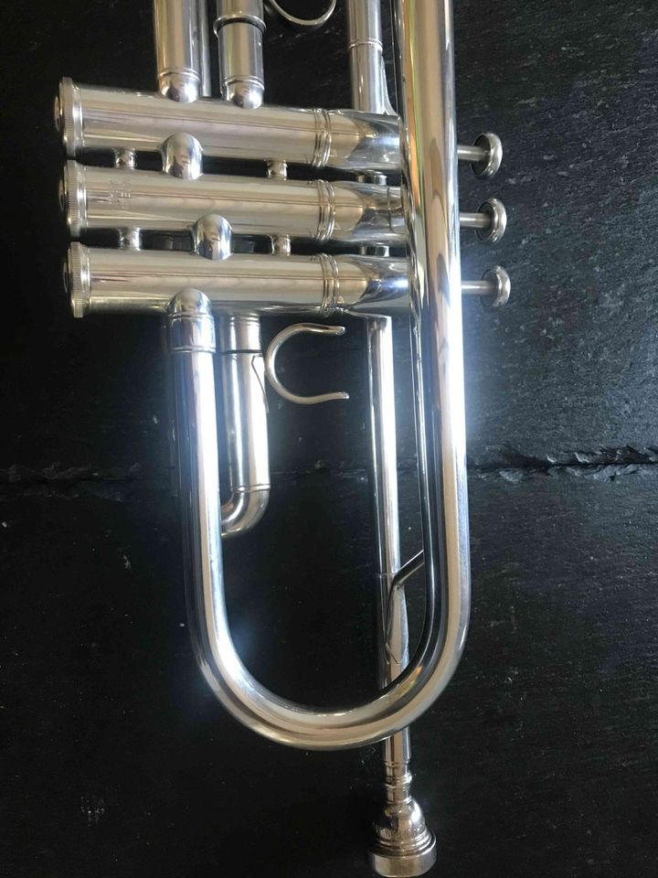 Kleinanzeige Musiker in Lahnstein gesucht - Bild 1