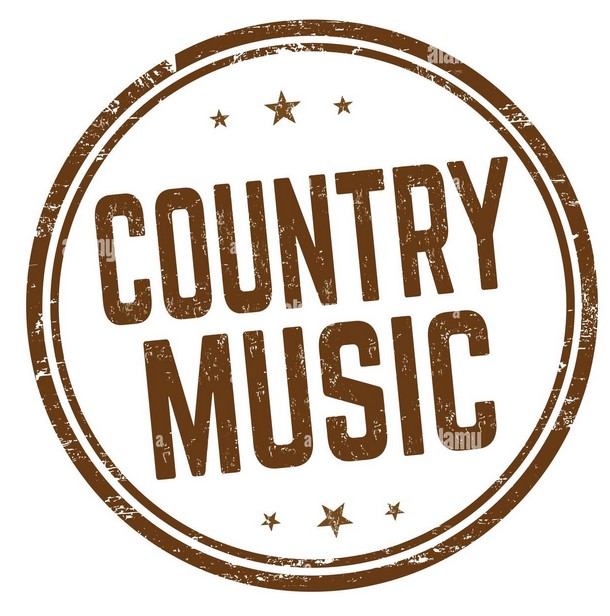 Kleinanzeige Lead Gitarrist*In* für deutschsprachige Country Band gesucht - Bild 1