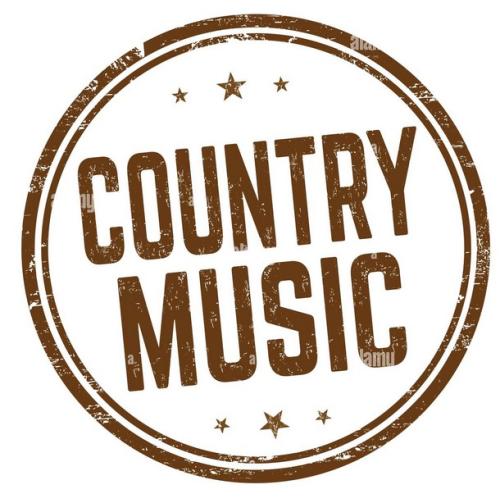 Kleinanzeige Lead Gitarrist*In* für deutschsprachige Country Band gesucht - Bild 1