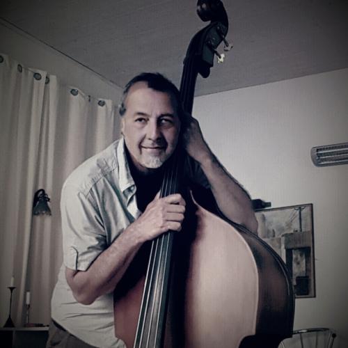 Kleinanzeige erfahrener Bassist sucht neuen Wirkungskreis - Bild 1