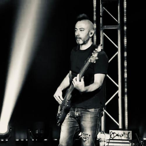 Kleinanzeige Professional Bassist and double bassist - Bild 1