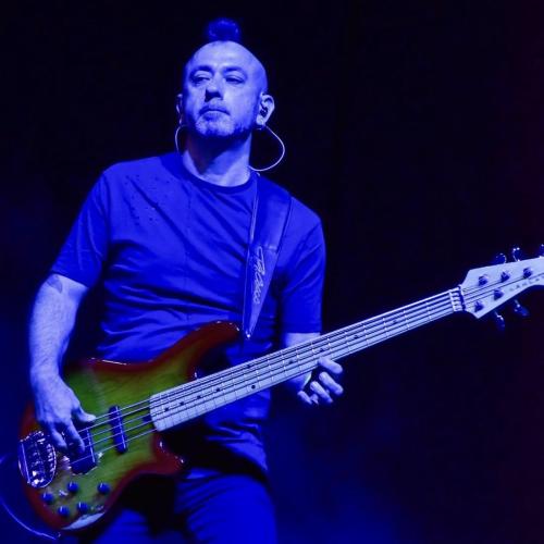 Kleinanzeige Professional Bassist and double bassist - Bild 3