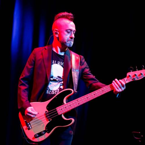 Kleinanzeige Professional Bassist and double bassist - Bild 4