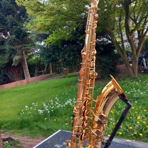 Kleinanzeige Yanagisawa Yamaha YTS-62 Altsaxophon Tenorsaxophon Saxophon - Bild 1