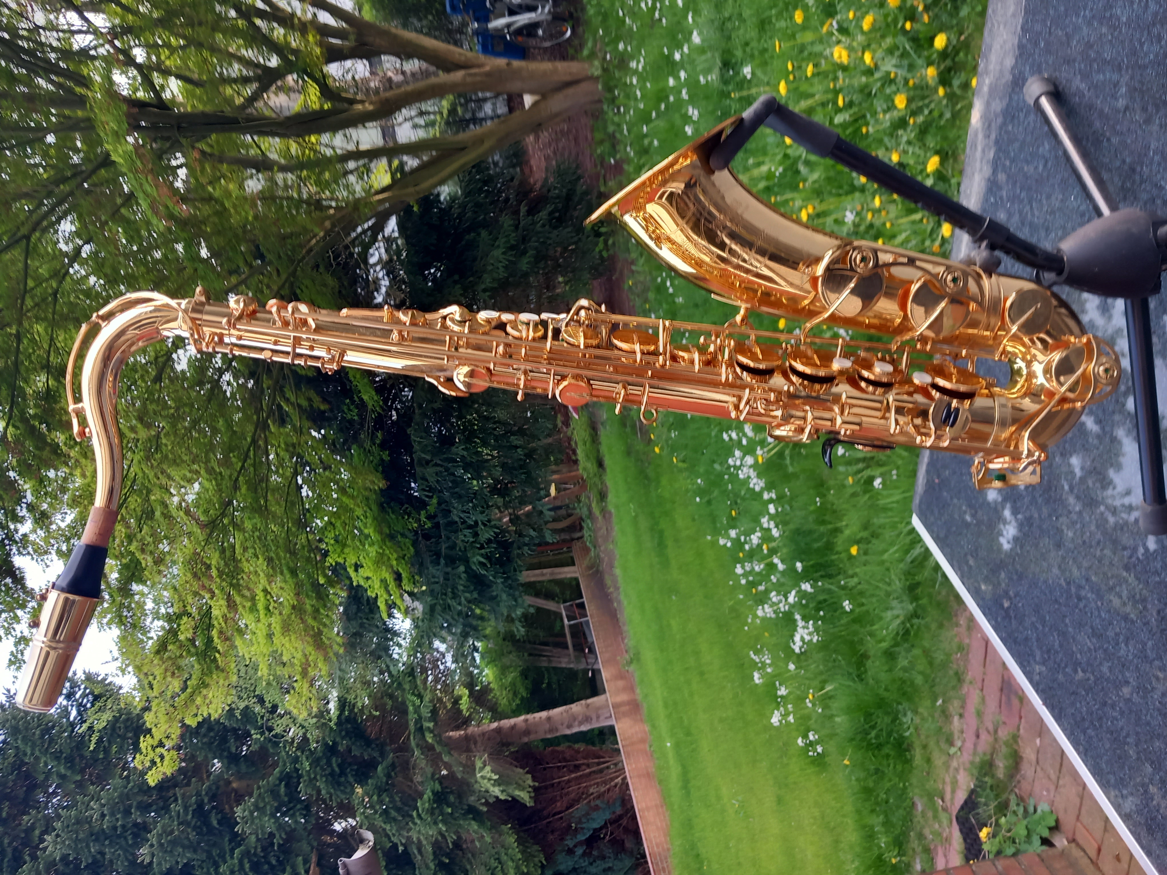 Kleinanzeige Yanagisawa Yamaha YTS-62 Altsaxophon Tenorsaxophon Saxophon - Bild 1