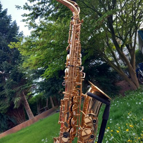 Kleinanzeige Yanagisawa Yamaha YTS-62 Altsaxophon Tenorsaxophon Saxophon - Bild 3