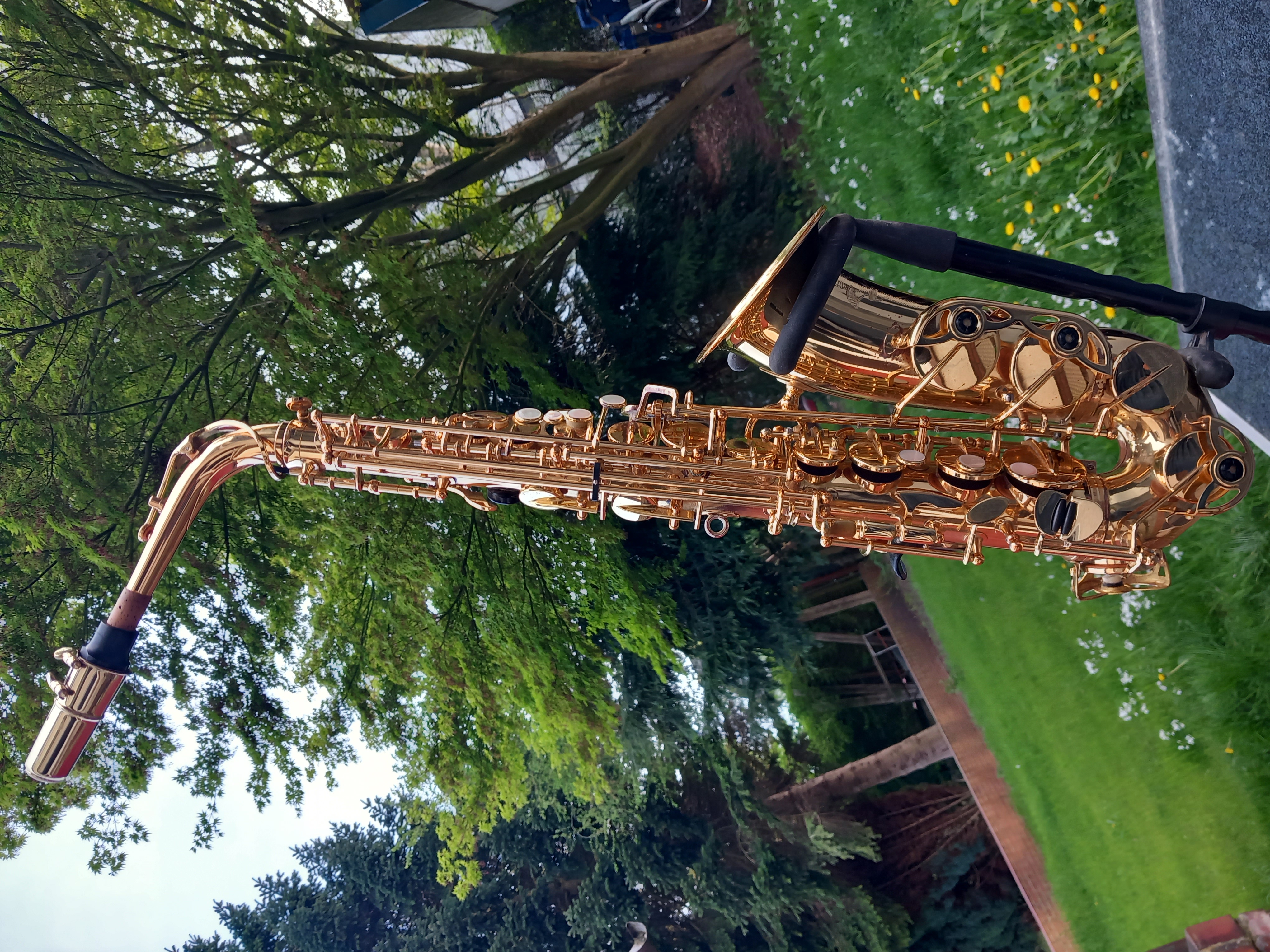 Kleinanzeige Yanagisawa Yamaha YTS-62 Altsaxophon Tenorsaxophon Saxophon - Bild 3