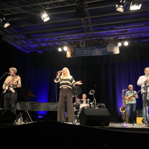 Kleinanzeige Sängerin für Pop &amp; Rockband gesucht - Bild 1